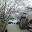 江戸時代からの桜の名所・飛鳥山公園と鉄道ファン必見の北とぴあ展望ロビー 東京都北区を歩く